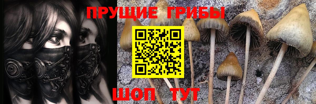 Анжеро-Судженск  Псилоцибиновые грибы ЛСД  Вход с VPN  Галлюциногенные грибы мухоморы 