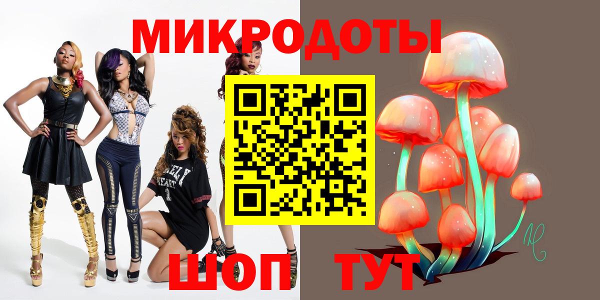 Галлюциногенные грибы Psilocybe Анжеро-Судженск